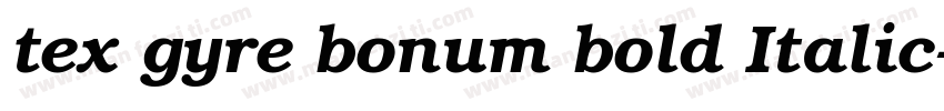 tex gyre bonum bold Italic字体转换